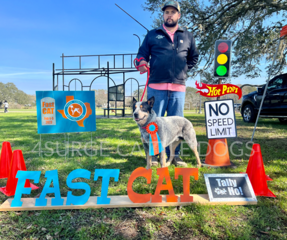 BCAT