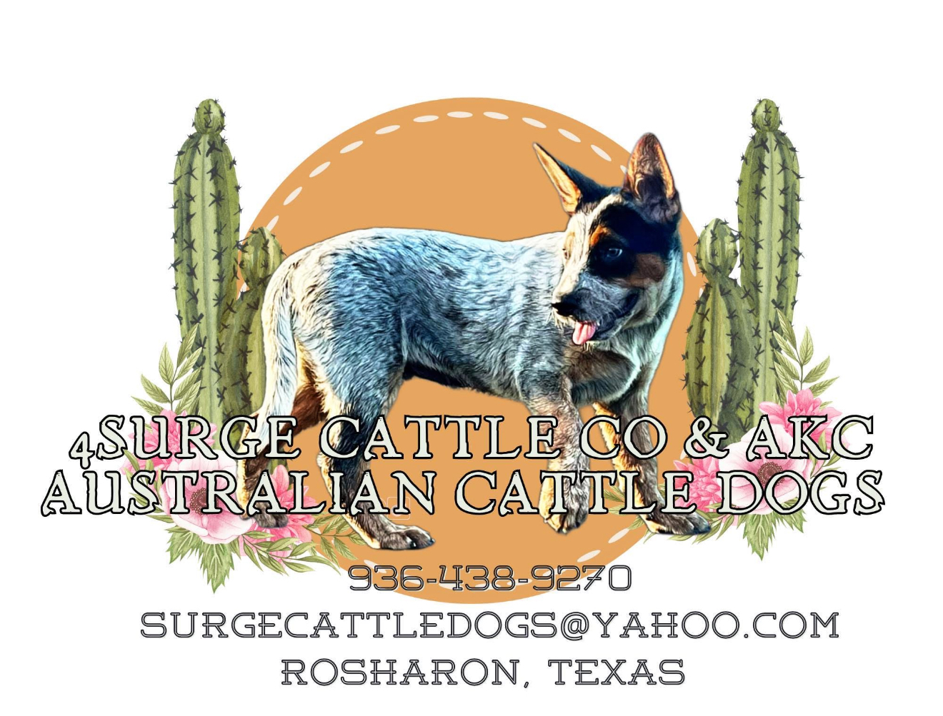 4Surge Cattle Dogs 